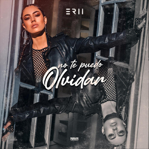 No Te Puedo Olvidar