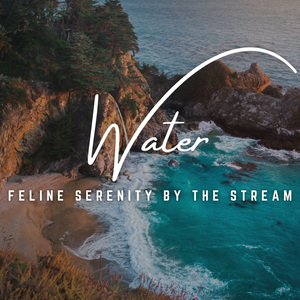 Stream's Oasis for Our Graceful Cats