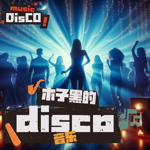 网络情缘(disco)