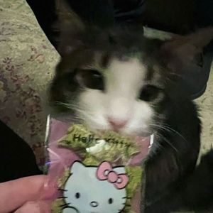 我会消失在你世界（heart Remix）