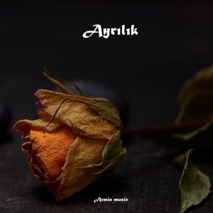 Ayrılık