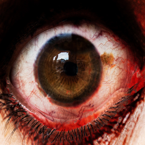 Search History Freestyle