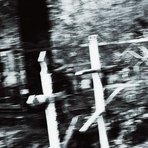 концентрированное безумие