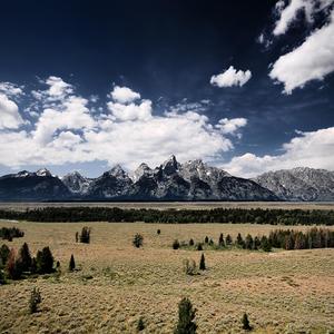 ahead of the rest of the field