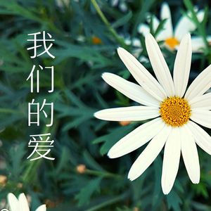 我们的爱