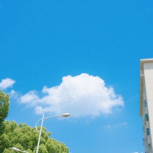 苍松柔肠
