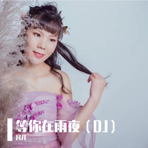 等你在雨夜（DJ)版
