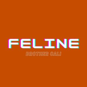 Feline