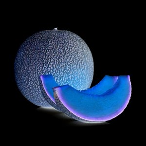 So Free