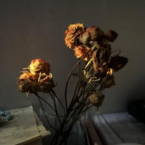 20220430_185717_0.wav