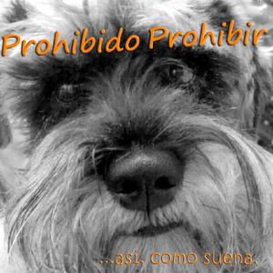 Guau (Amores Perros)