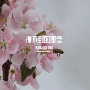 爱情花开满园香