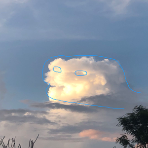 一些悲伤又美好的事