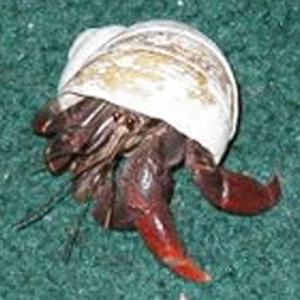 fading like a boring memory