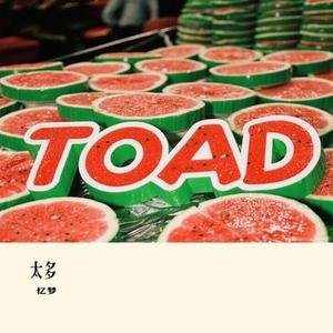 太多 (Cover 陈冠蒲)