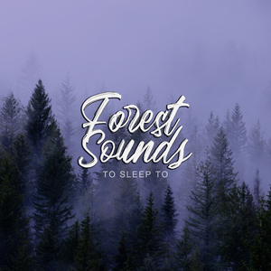Forest Fog