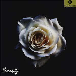 Coming Home At Midnight