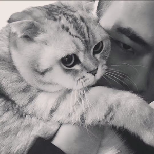 豆包 - 纵马红尘