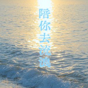 陪你去流浪