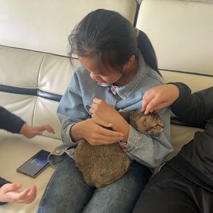 《用一生遗忘》