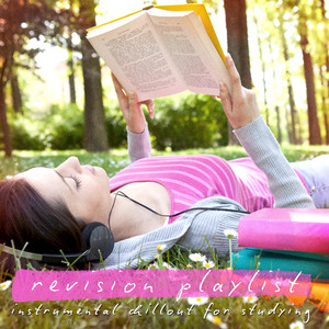 Married Life (Instrumental Chill Mix)