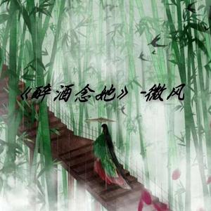 醉酒念她