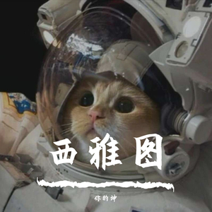 Cavilate-西雅图（白雪公主后爸Kun remix）