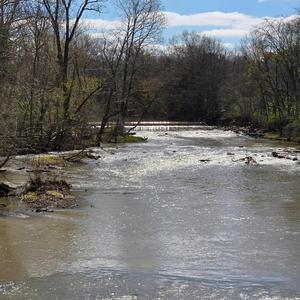 Captivity ( Pop Version)