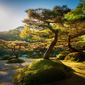 Desenrollando Notas En Armonía