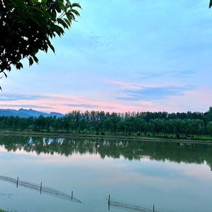 爱伤心情伤人（翻自 金娃）