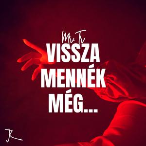 Vissza Mennék Még...