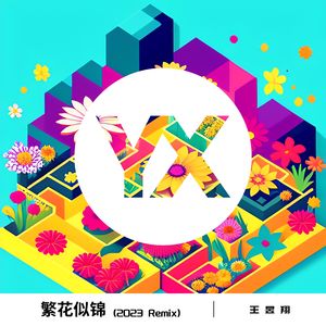 繁花似锦 (2023 Remix)