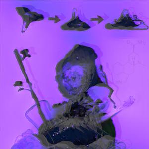 convolvulaceae ergine