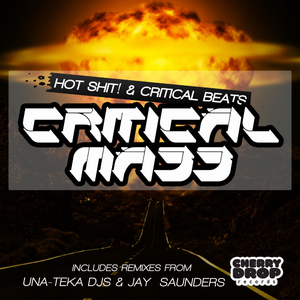 Critical Mass (Una-Teka Djs Re-Boot)