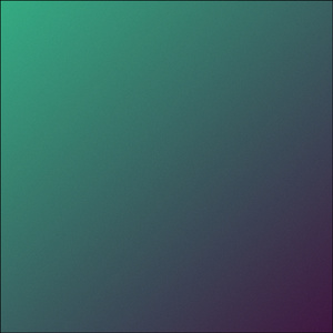 2024 (Cover)