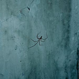 володіли троє мріями...