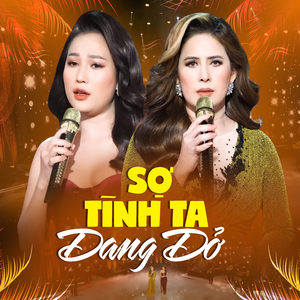 Sợ Tình Ta Dang Dở (Instrumental)