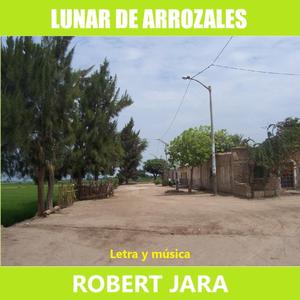 Lunar de arrozales
