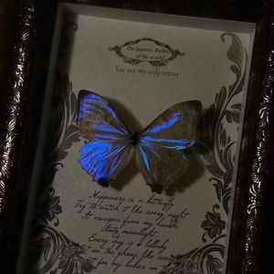 Butterfly（prod by Lyoung）