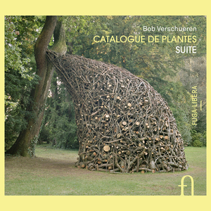 Olivier (Olea europaea, 2012)