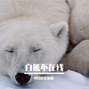 灵动琴音点亮旅行Vlog之旅