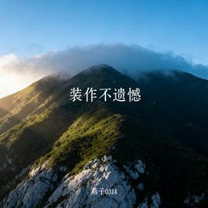 装作不遗憾 (Cover 孙健)