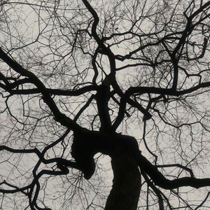 【FREE】“屏障” Sad Emotional Rap Beat