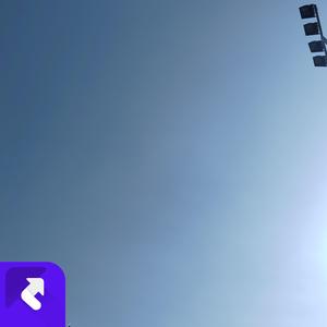 银杏树叶（古风版） (现场)