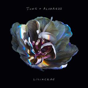 Liliaceae