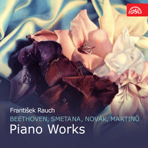 Sonata eroica, Op. 24:I. Allegro patetico