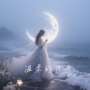 温柔的月光