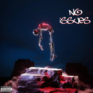 No Issues