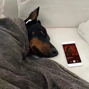 我还记得用的相遇在一年前