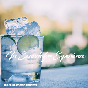 In Search for Experience